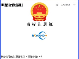 Hebei RAYOUNG Pipeline Technology Co., Ltd. Secures Registered Trademark Certificate: A Milestone in Brand Excellence